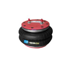 NEUMACARG CONJ. 2C20-230 (22) ( 2+2) T-2