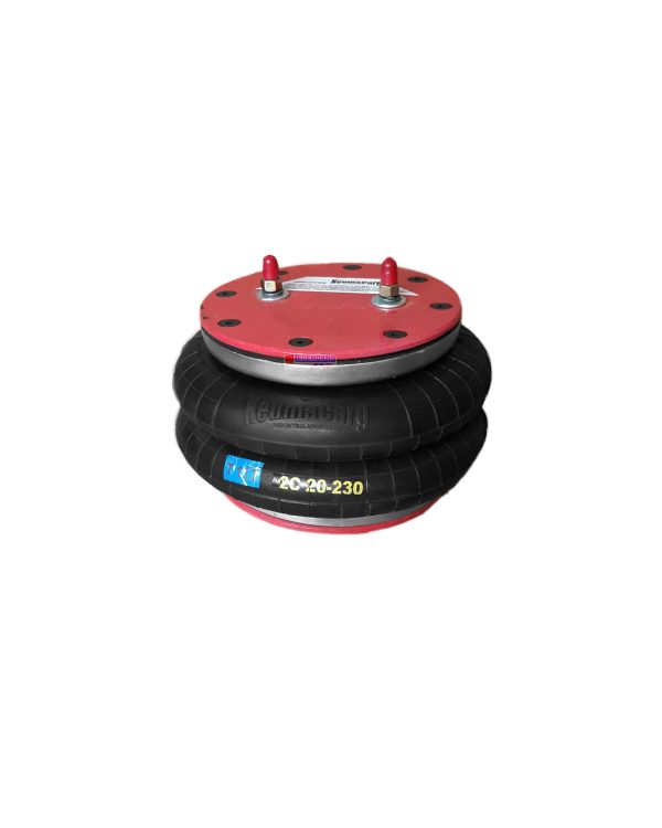 NEUMACARG CONJ. 2C20-230 (22) ( 2+2) T-2