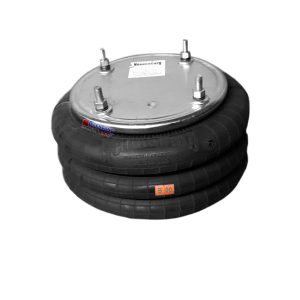 CONJ. U.S.(33) TIPO1 3C313-355 NEUMACARG (4 a160 + 4 a160) PENTRON