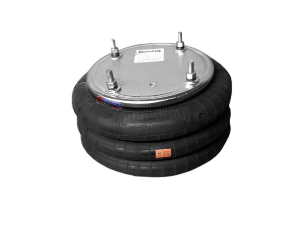CONJ. U.S.(33) TIPO1 3C313-355 NEUMACARG (4 a160 + 4 a160) PENTRON
