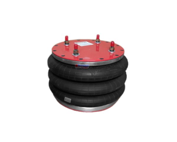 NEUMACARG CONJ. 3C313-355 T-1 (33)  4 T