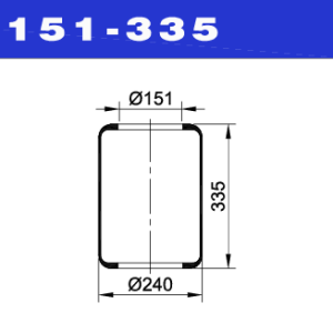 NEUMACARG FUELLE S.NEUM.NRO.T240-151-335 (30)