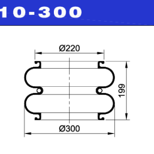 NEUMACARG FUELLE S.NEUM.NRO.2C210-300 (26)