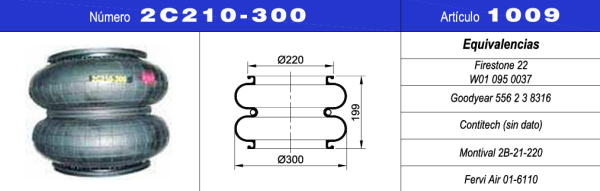 NEUMACARG FUELLE S.NEUM.NRO.2C210-300 (26)