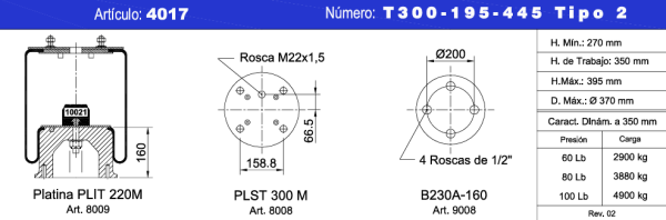 NEUMACARG CONJ. T300-195-445M T-2 / 4 T - RANDON-MALD.